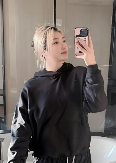 伤病及个人, 核心李梦意