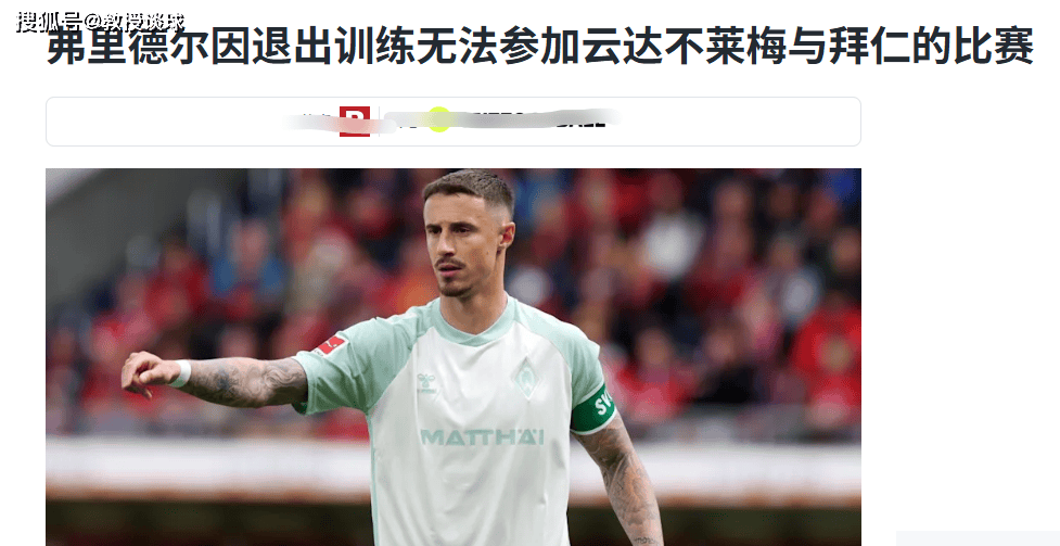 发现依然有, 进化